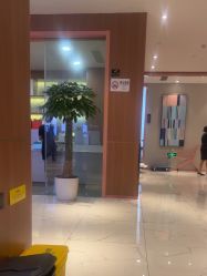 -深圳艺星医疗美容医院