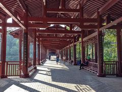 -重庆彩云湖湿地公园