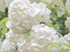 -尚贤河湿地