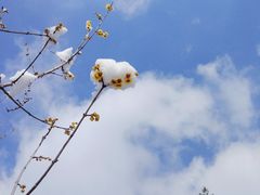 -荆川公园