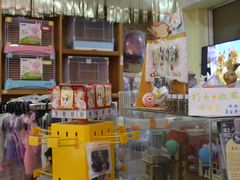 -宠物兔专门店(天丰利市场店)