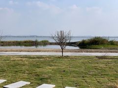 -七的湖·晚芳亭·阳澄湖农家菜·大闸蟹(莲花岛店)