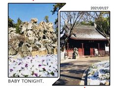 -莫愁湖公园