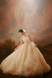 -巴黎新娘婚纱摄影·婚礼策划(嘉定总店)