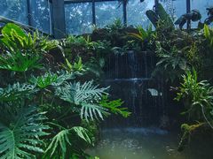 -东莞植物园