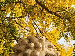 -北京石刻艺术博物馆(五塔寺)