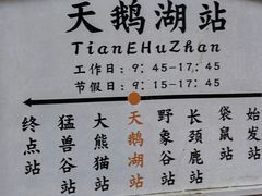 -深圳野生动物园