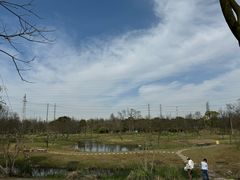 -上海长兴岛郊野公园