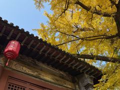 -晋祠公园