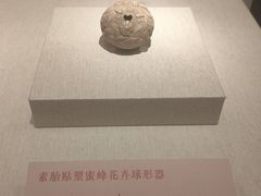 -深圳博物馆(古代艺术馆)