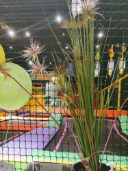 -蹦蹦跳跳(新奥购物中心店)