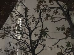 -仙林中心(地铁站)
