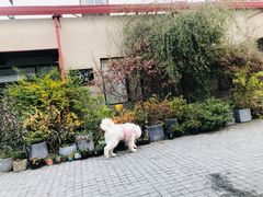 -Bamboo Today Cafe(国创园店)