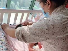 -田螺阿姨自营月嫂·育儿嫂(高新店)