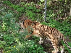 -哈尔滨北方森林动物园