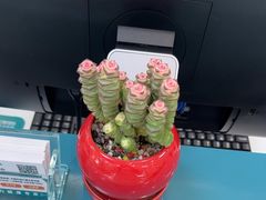 -AudioNova 海之声助听器峰力助听器索诺瓦自营店(北京店)