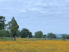 -良渚古城遗址公园