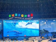 -泉城欧乐堡海洋极地世界