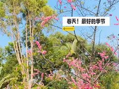-深圳野生动物园