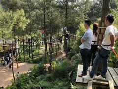 -梦幻奥陶纪景区