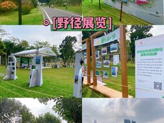 -莲花山公园