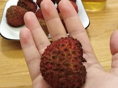 -三亚新鸿港水果一级批发市场