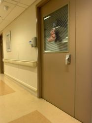 -杭州贝瑞斯美华妇儿医院·早孕·产检·儿科