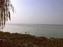 -阳澄湖半岛旅游度假区