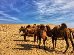 -库伦旗银沙湾旅游景区