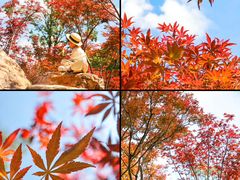 -广州市帽峰山景区