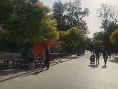 -杨柳青庄园