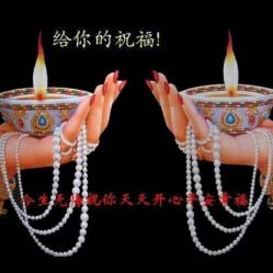 -Zbird钻石小鸟·钻戒婚戒定制高端珠宝私人定制中心