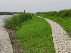 -春花秋色城市公园