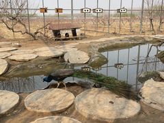 -河北村民俗体验园