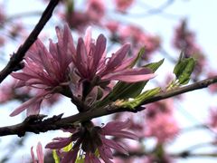 -唐城墙遗址公园