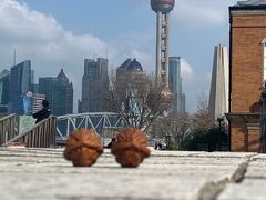 -东方明珠广播电视塔