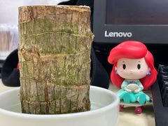 -泡泡玛特POPMART(合生汇店)