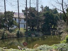 -叶家花园