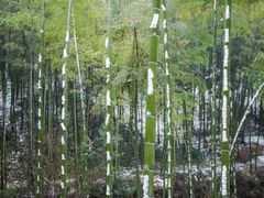 -雅达·阳羡溪山小镇中心