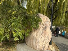 -莲花池公园