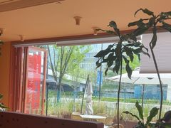 -美泰·Mangothai·清迈云街(天空之城店)
