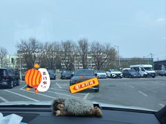 -北京鹏龙大道奔驰4S店(纪家庙店)