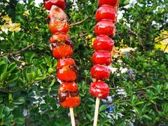 -糖葫芦王保定名吃(古莲花池店)