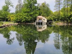 -上海共青森林公园