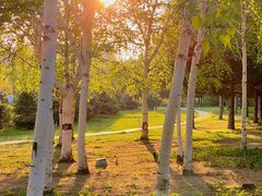 -长春公园(普阳街道)