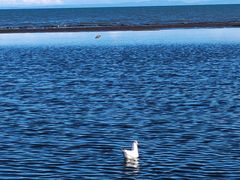 -青海湖仙女湾景区
