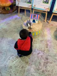 -酷嗒动物文化乐园(cutezoo西溪乐天城店)