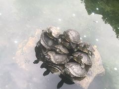 -太和古洞
