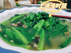 -优之名鹅城