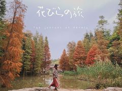 -云溪植物园